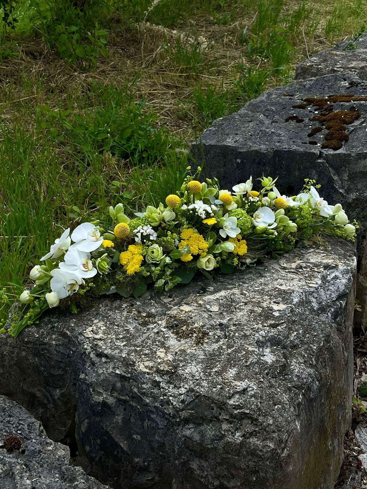 slider image 1